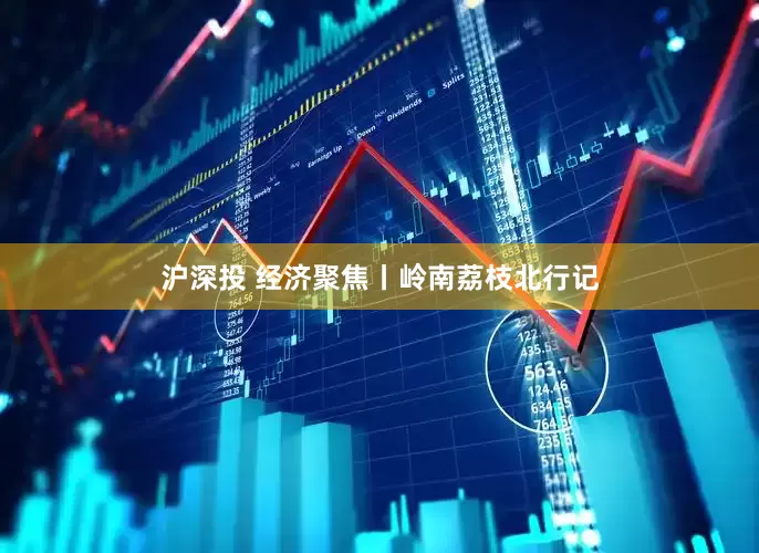 沪深投 经济聚焦丨岭南荔枝北行记