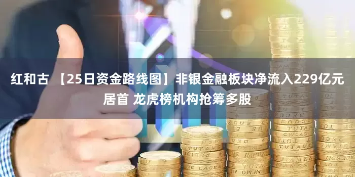 红和古 【25日资金路线图】非银金融板块净流入229亿元居首 龙虎榜机构抢筹多股