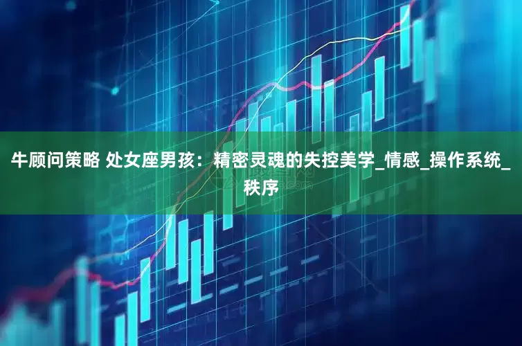 牛顾问策略 处女座男孩：精密灵魂的失控美学_情感_操作系统_秩序