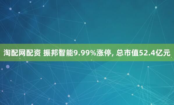 淘配网配资 振邦智能9.99%涨停, 总市值52.4亿元