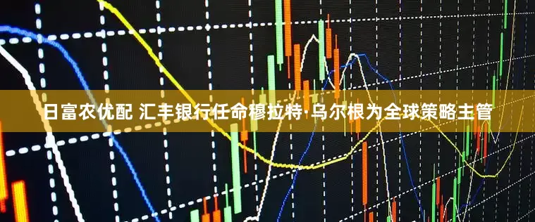 日富农优配 汇丰银行任命穆拉特·乌尔根为全球策略主管