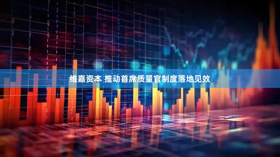 维嘉资本 推动首席质量官制度落地见效