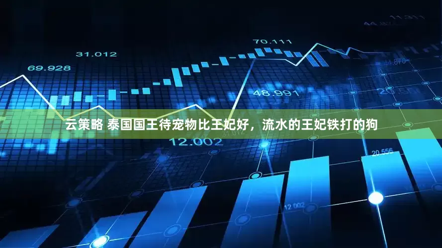 云策略 泰国国王待宠物比王妃好，流水的王妃铁打的狗