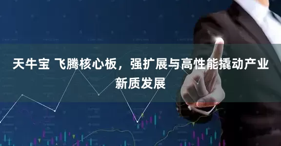 天牛宝 飞腾核心板，强扩展与高性能撬动产业新质发展